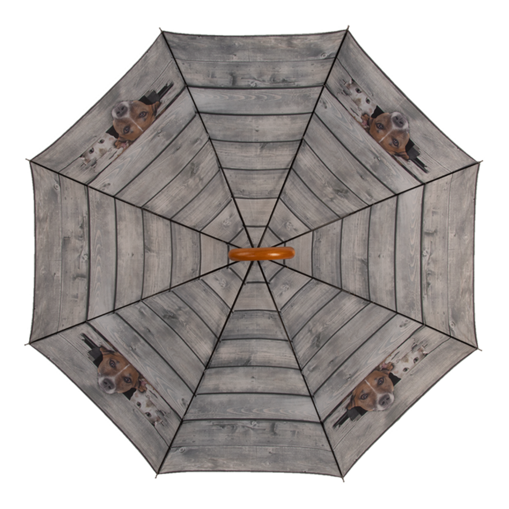 honden en katten paraplu