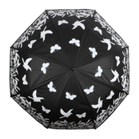 paraplu kleurveranderend