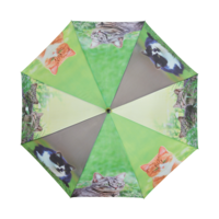 paraplu met 4 verschillende poezen