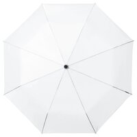 Opvouwbare auto open wit