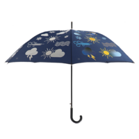 kleurveranderende paraplu weer