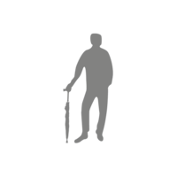 Wandelstok paraplu zwart