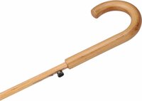 mooie kleur groene paraplu met houten handvat