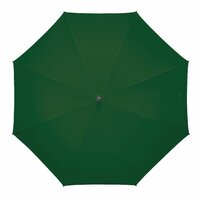 groene paraplu 120 cm 
