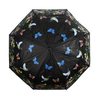 gekleurde paraplu