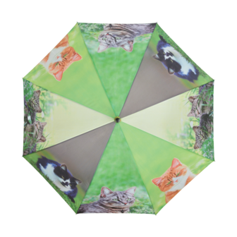 paraplu met 4 verschillende poezen