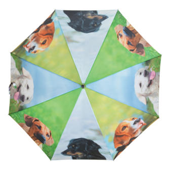honden paraplu
