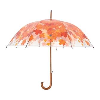 Paraplu boomkroon herfst