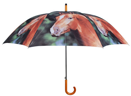 Paarden Paraplu 