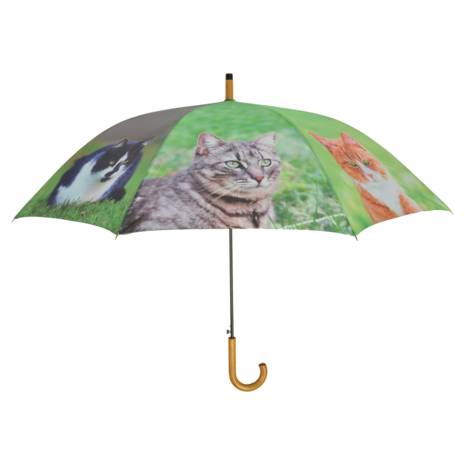 Paraplu met poezen