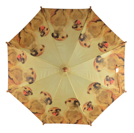 Kinderparaplu stokstaartje