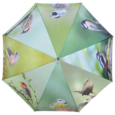 Paraplu Vogels