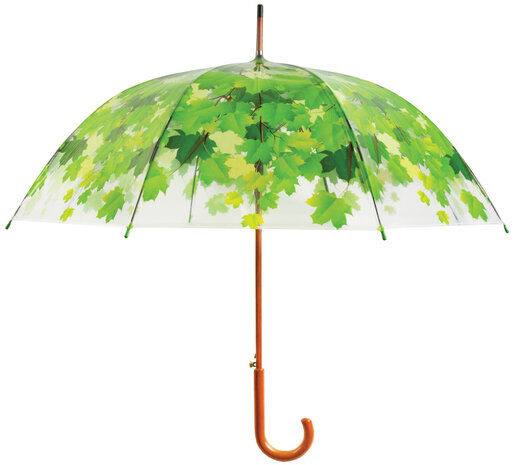 Transparante paraplu - Boom