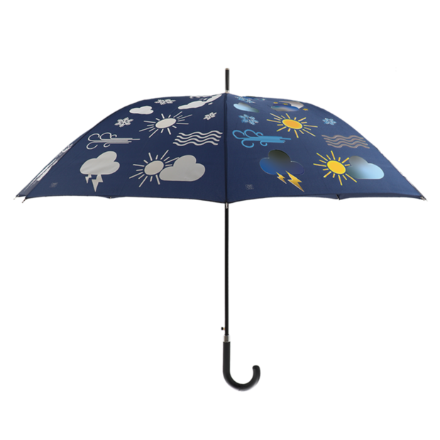kleurveranderende paraplu weer