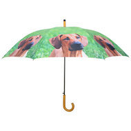 vingerafdruk Adolescent Armoedig Honden paraplu Hond