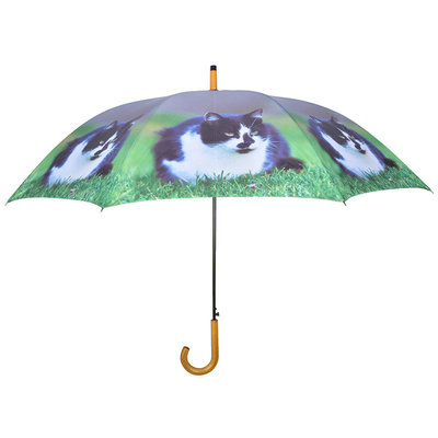 Paraplu Kat - Zwart/Wit