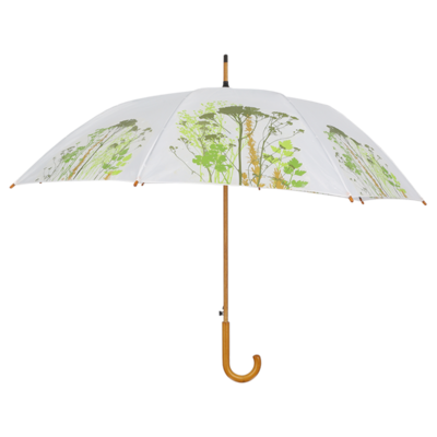 Paraplu kruiden